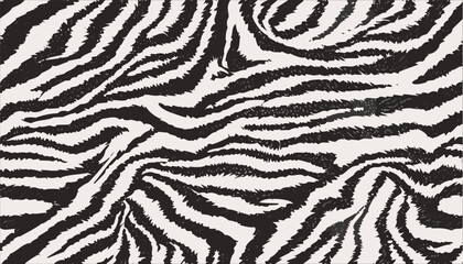Fototapeta premium Zebra skin texture black and white fabric background