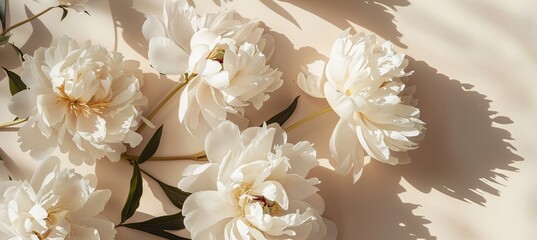 A bouquet of white flowers adorns a sleek white surface