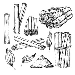 Cinnamon set vintage vector food drawing