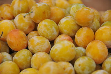Prune mirabelle