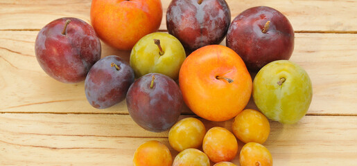 Variétés de prunes
