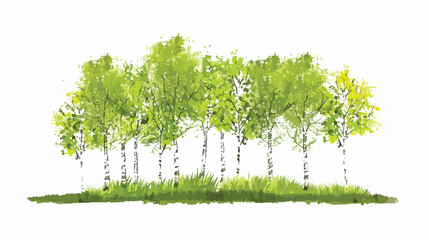 Green birch in spring forest Hand drawn style vector