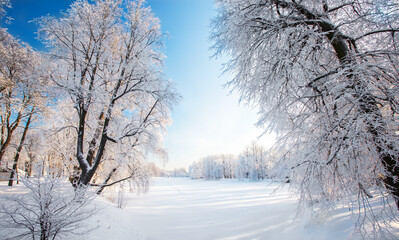 Panorama of beautiful winter park - 793763735