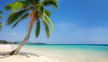 tropical beach with coconut palm - 793763761