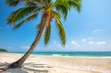 tropical beach with coconut palm - 793763954