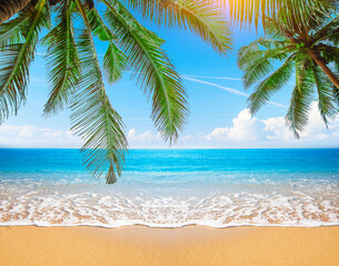 Green leaves of  Palm tree and tropical beach - 793764176