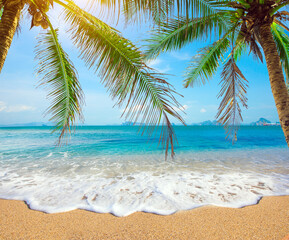 tropical beach with coconut palm - 793764572