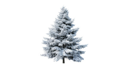 Tranquil Pine Tree in Snowy Landscape on the transparent background, PNG Format