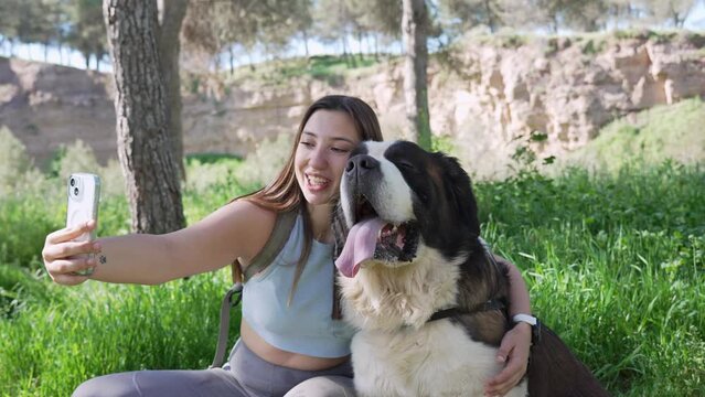 Woman taking selfie with happy dog in park. Cheerful woman captures a selfie with her joyful bernese mountain dog outdoors on a sunny day