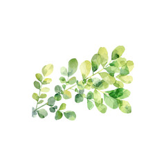 Artistic Watercolor Depiction of Green Foliage. Vector illustration design.