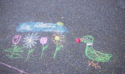 childlike colorful drawing with chalk on asphalt: flowers, cloud and bird with real flower in beak....