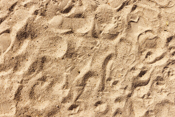 Dry sand with illegible shoe tracks. View from above.