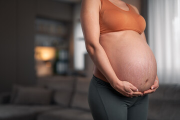 A close-up shot of an unrecognizable pregnant woman holding her belly and standing in the living room - obrazy, fototapety, plakaty