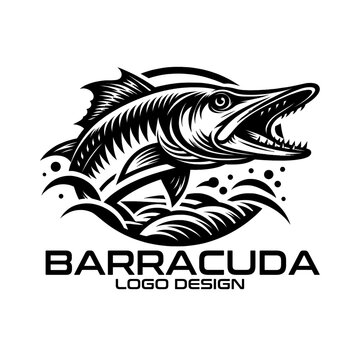 Barracuda Vector Logo Design