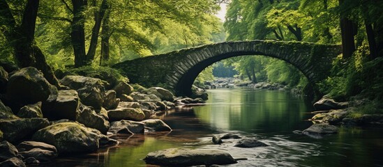 Stone bridge crossing river in forest