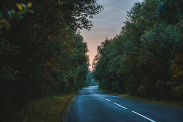 Road on a summer trip