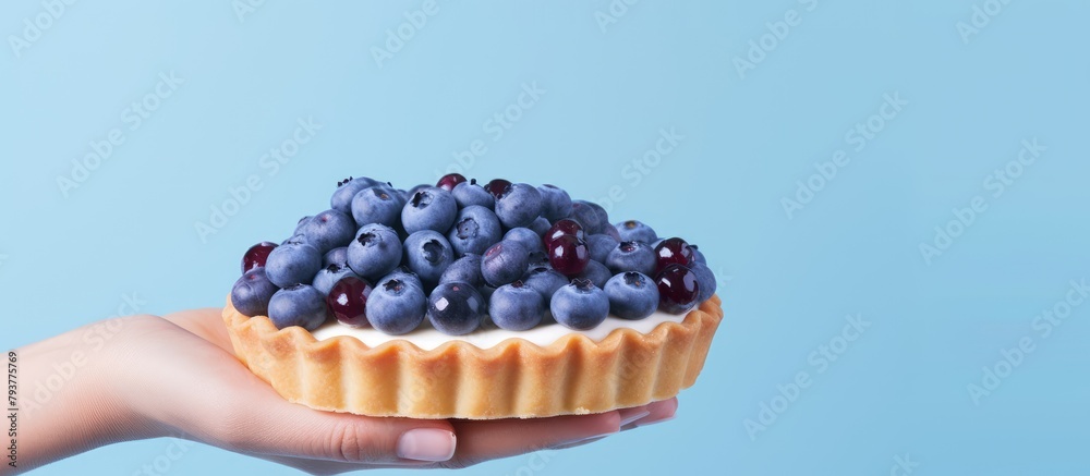 Canvas Prints Person holding a blueberry tart on blue backdrop