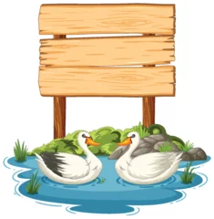 Glasschilderij Kinderen Two ducks swimming near a blank wooden sign.