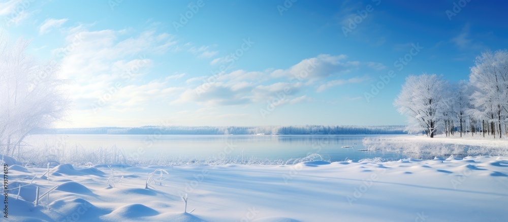 Wall mural Snowy landscape with trees and a distant lake