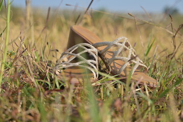 pair of shoes on grass