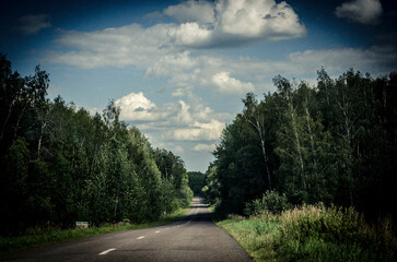 Country road through the forest in summer. Russia. Toned.