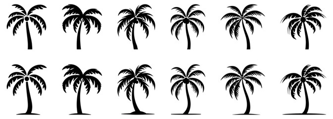 Tropical palm trees set. Vector illustration