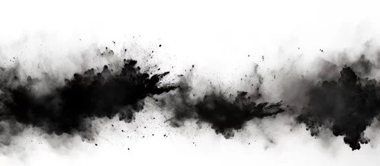 Foto op Canvas black smoke in flight on a white backdrop © Ilgun