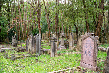 die Natur erobert die Flächen zwischen den Gräbern zurück auf dem Highgate Cemetery in London Camden