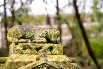 ein kleiner Hund auf einem Grabstein auf dem Highgate Cemetery in London Camden