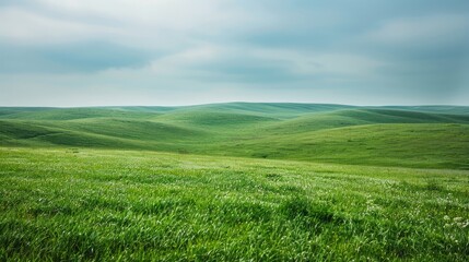 Fototapeta premium Green rolling hills under a blue sky