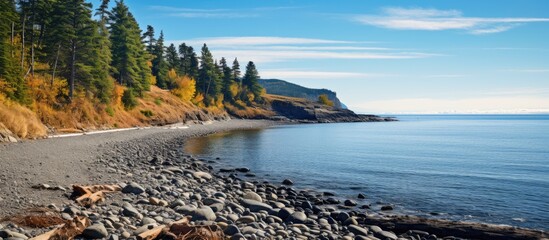 Obraz premium A rocky shore with sparse trees by the beach