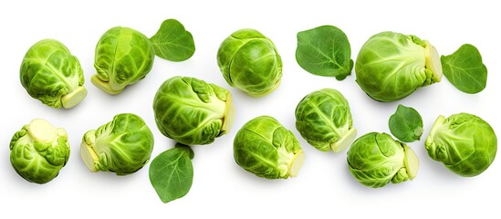 Brussels sprouts close up with green leaves