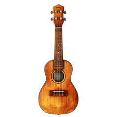 Obraz premium Classic ukulele, for music events
