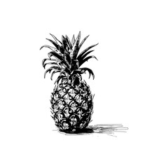 Single Pineapple Illustration in Black Ink. Vector illustration design.