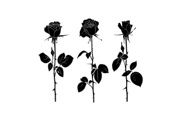 Set of Three Black Rose Silhouettes. Vector illustration design.