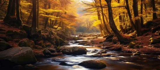 Tischdecke A tranquil river flows amid a dense woodland of rocks and trees © Ilgun