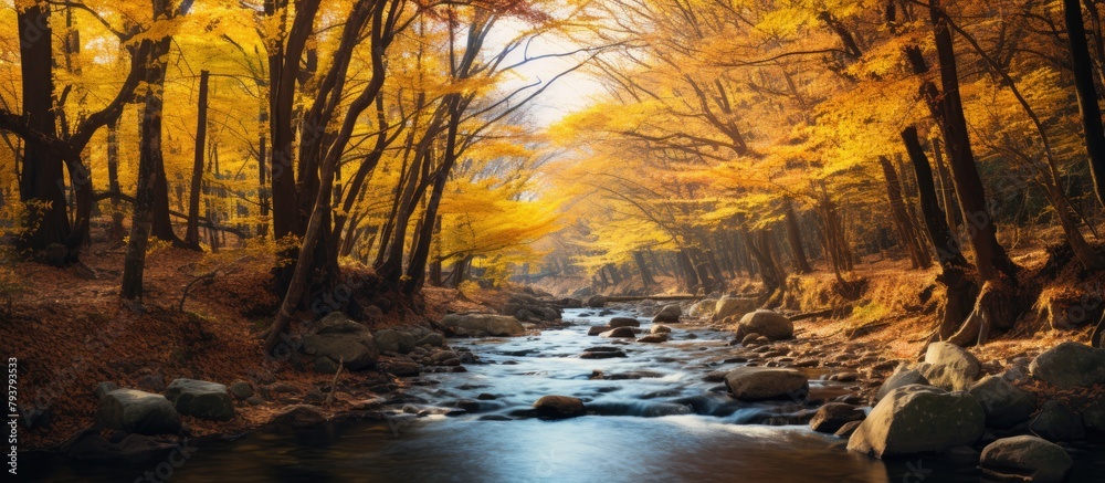 Canvas Prints A serene river flowing through a dense forest