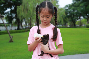Kitten with feeding by girl child. Focus at small cat. - 793793969