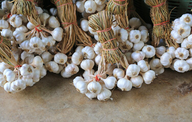 Garlic bunch after harvest tied to easy for store and sale. - 793795993