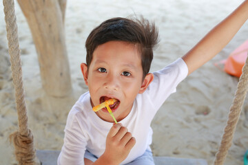 Close-up of Asian little boy eating French fries with dip cheese while sitting on swing at the beach. - 793796721