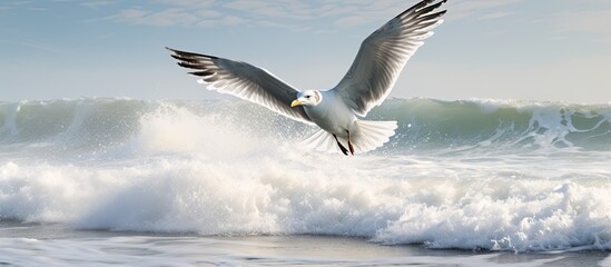 Bird soaring over ocean wave with giraffe