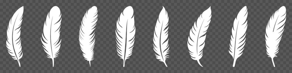 Set of white bird feather icons. Vector illustration isolated on transparent background