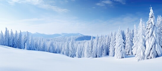 Snowy trees in the mountains with a blue sky