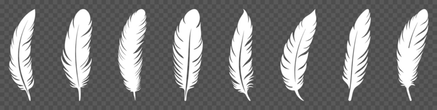 Fototapeta Set of white bird feather icons. Vector illustration isolated on transparent background