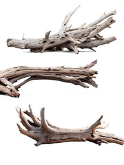 Set of Driftwood transparent image