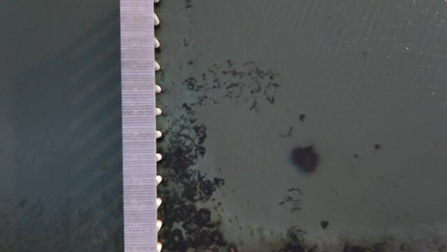 Drone aerial shot, sea, Ayame bridge, Sunset
