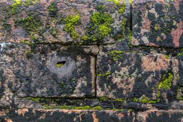 dark moss brick wall, background texture pattern wallpaper, old damp architectural grunge, abstract...