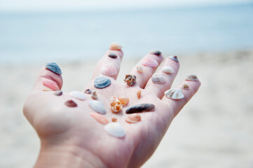 Naklejka premium Sea shell. Travel agency. Traveling at summertime. Seychelles vacation in summer. Beach with sea shell. Hand hold seashell. Skincare. Summer vacation. Seashells on hand at beach