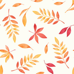 A seamless pattern with multicolored watercolor autumn leaves on a light background is hand-drawn. A beautiful pattern with falling bright leaves. Template for fabric, wallpaper, wrapping paper