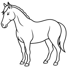 horse vector